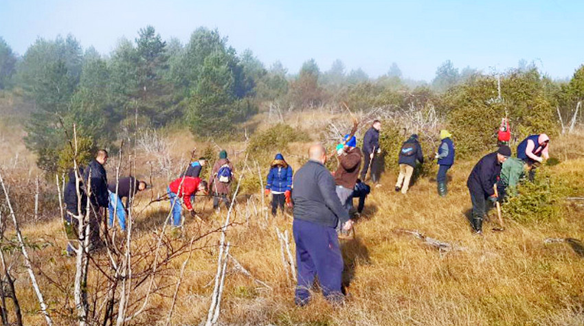 POČELO POŠUMLJAVANJE NA PODRUČJU ŠG "ROMANIJA"