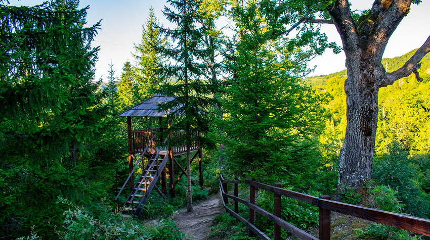 MILIĆ: BORAVAK U FOČI REGENERIŠE ORGANIZAM