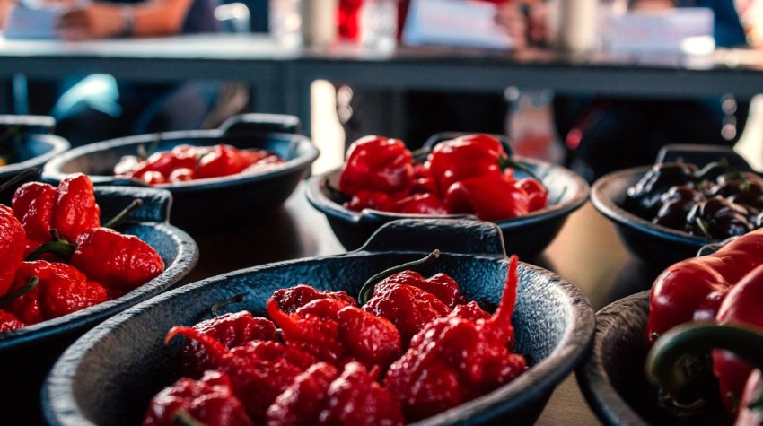 DA LI STE SPREMNI ZA NAJLJUĆI FESTIVAL U DRŽAVI?