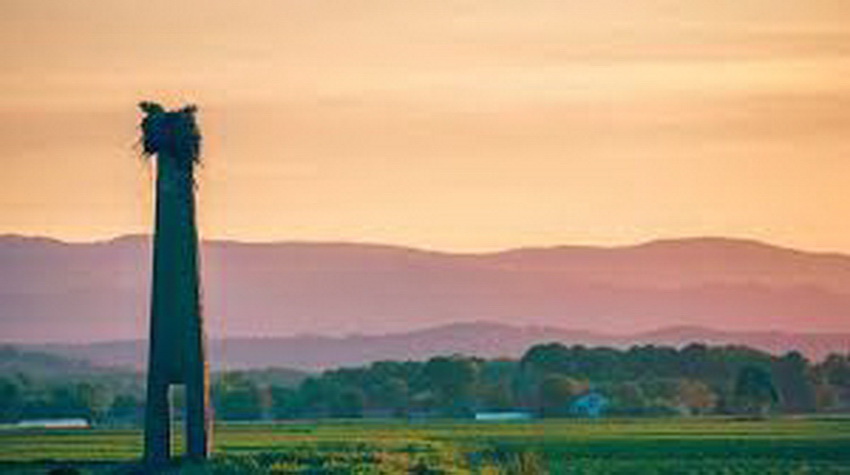 45. PARALELA U LIJEVČU ILI POLOVINA PUTA IZMEĐU EKVATORA I SJEVERNOG POLA