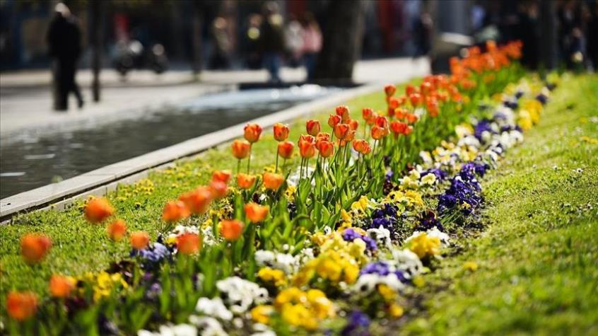 BANJALUKA U MAJU POSTAJE OAZA CVIJEĆA