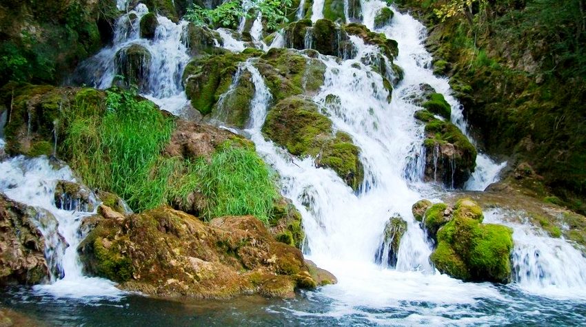 BEREG, HLADNA I BISTRA PRITOKA RAKITNICE